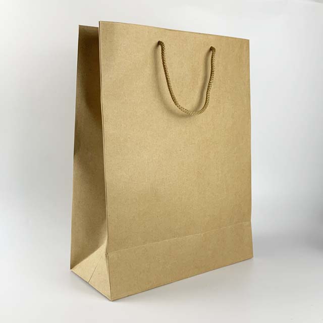 paper bag with pp cord handle brown color